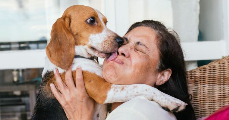 La vraie raison pour laquelle votre chien vous lèche autant ce ne