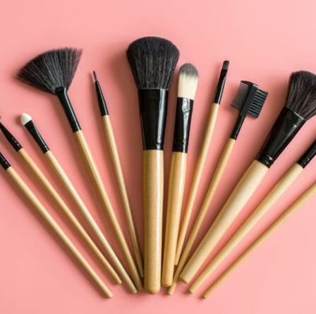 10 des meilleurs ensembles de pinceaux de maquillage pour chaque budget et niveau de compétence en 2021
