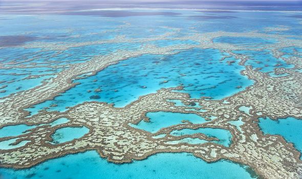 Barrière de corail australienne