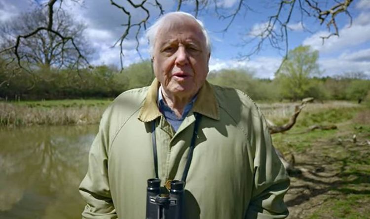 Émotionnel, David Attenborough révèle `` le moment le plus magique de sa vie ''