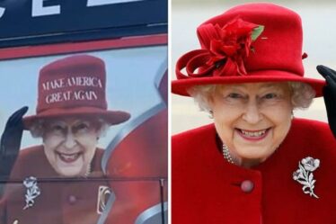 La fureur du palais de Buckingham en tant que reine exploitée à l'image de Trump trafiquée - demande de suppression