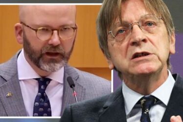 L'intrigue de Guy Verhofstadt dévoilée: le député européen met en évidence une `` preuve '' de plan pour les États-Unis d'Europe