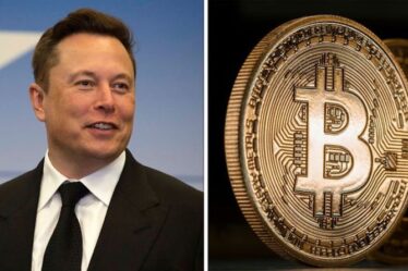 Bitcoin pour une `` tendance à la baisse atroce '' - l'avertissement `` dévastateur '' de l'expert avant le tweet de Musk