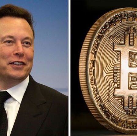 Bitcoin pour une `` tendance à la baisse atroce '' - l'avertissement `` dévastateur '' de l'expert avant le tweet de Musk