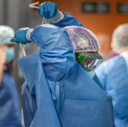 Panique en Espagne: l'épidémie de fièvre Q déclenche l'alarme - 10 personnes hospitalisées