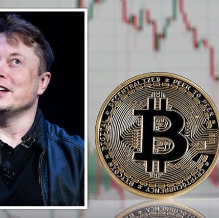 Le plongeon du Bitcoin provoque des réactions négatives chez Elon Musk: `` Cela profite à la société ''