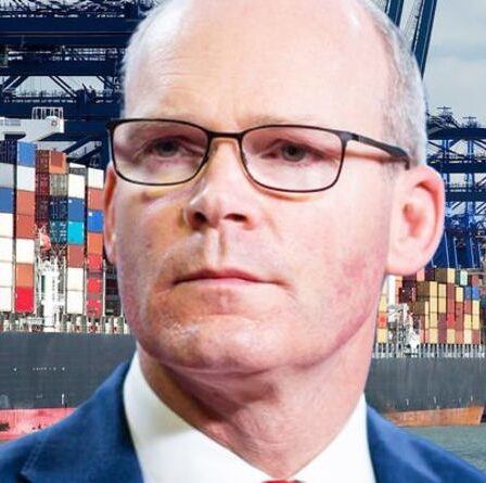 L'Irlande recule!  Les contrôles sur les marchandises pourraient être réduits de 80% `` Nous devons travailler ensemble ''