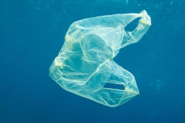 Grande-Bretagne verte: Daily Express soutient les appels à l'interdiction totale des sacs en plastique