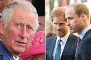 Le silence de Charles sur l'enquête Diana assourdissant après que William et Harry se soient exprimés