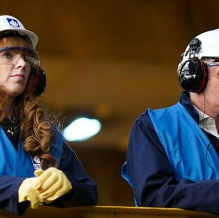 Angela Rayner et la querelle amère de Keir Starmer dévoilées: `` Une tension incessante ''