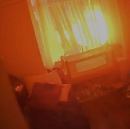 Un homme demande de l'aide et des enfants hurlent alors que des jeunes émeutes incendient des voitures et une maison familiale en brique