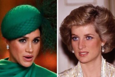 Le temps de Meghan dans la famille royale par rapport à celui de Diana: `` Qui vous semble le plus authentique? ''