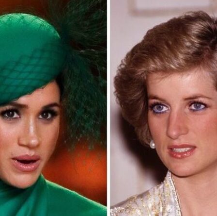 Le temps de Meghan dans la famille royale par rapport à celui de Diana: `` Qui vous semble le plus authentique? ''