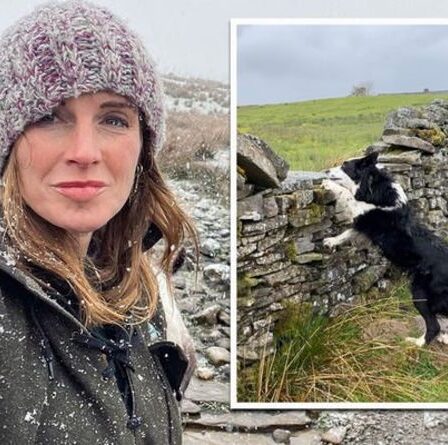 Amanda Owen, de notre Yorkshire Farm, partage les problèmes de la ferme après un hiver `` disproportionné ''