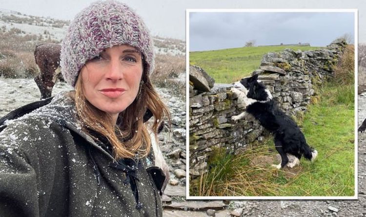 Amanda Owen, de notre Yorkshire Farm, partage les problèmes de la ferme après un hiver `` disproportionné ''