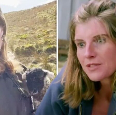 Amanda Owen, de notre Yorkshire Farm, s'attaque aux nuits blanches face à de `` terribles '' problèmes commerciaux