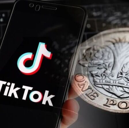 Avertissement TikTok: Vos enfants tirent des leçons de l'investissement des médias sociaux - agissez maintenant