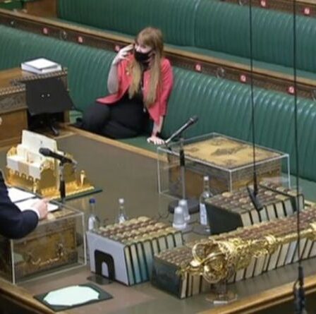 Boris Johnson donne à Starmer un avertissement désastreux sur la 'lionne' Rayner 'qui aura faim "