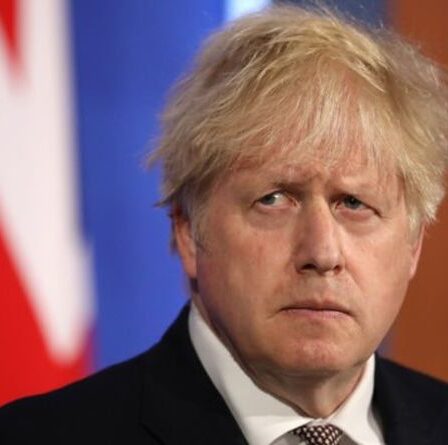 Boris lance une enquête sur la crise de Covid qui mettra le gouvernement `` sous microscope ''