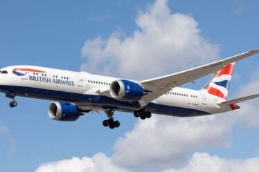 British Airways lance un test PCR de 40 £ au milieu d'un afflux massif de vols au Royaume-Uni