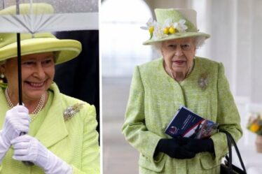 Broches préférées de la reine: Australian Wattle est le `` choix parfait '' pour les occasions printanières