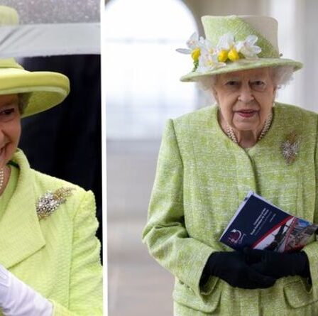 Broches préférées de la reine: Australian Wattle est le `` choix parfait '' pour les occasions printanières