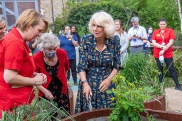 Camilla et les infirmières dans des éclats de rire alors que les plantes de la duchesse se levaient «tout le monde fait tout!