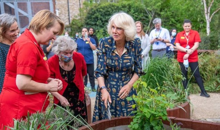 Camilla et les infirmières dans des éclats de rire alors que les plantes de la duchesse se levaient «tout le monde fait tout!
