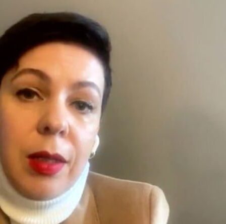 `` C'est une vidéo en otage '' Un exilé biélorusse affirme qu'un journaliste est `` torturé '' après l'arrestation d'un avion