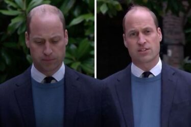 `` Chagrin, tristesse et colère '': la déclaration du prince William à la BBC sur l'interview de Diana analysée