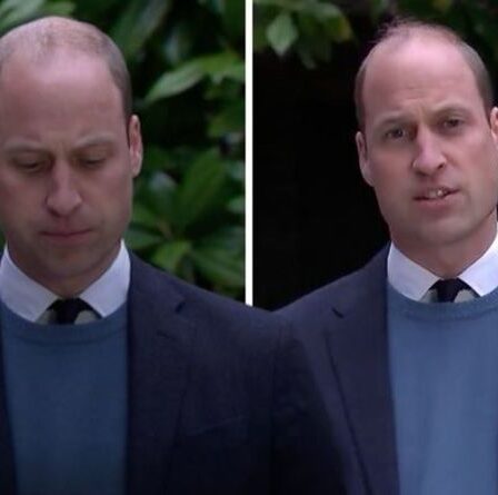 `` Chagrin, tristesse et colère '': la déclaration du prince William à la BBC sur l'interview de Diana analysée