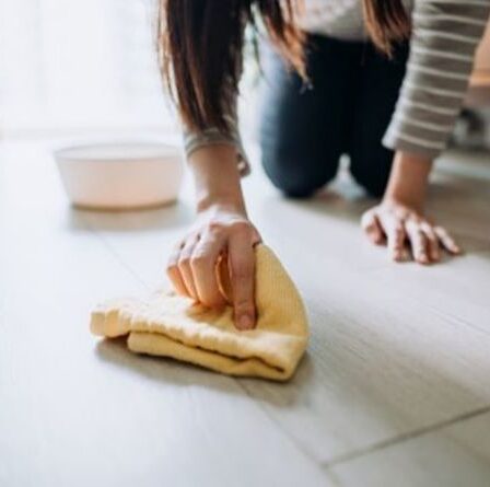 Comment nettoyer différents types de sols - tapis, bois, vinyle et plus