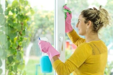 Comment nettoyer les fenêtres - astuces simples pour une brillance sans traces