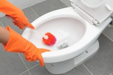 Comment nettoyer les taches de cuvette de toilette - Top 5 des conseils pour un toilette étincelant