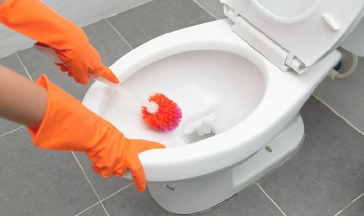 Comment nettoyer les taches de cuvette de toilette - Top 5 des conseils pour un toilette étincelant