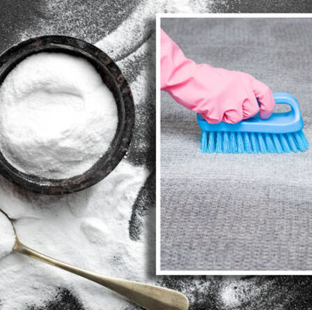Comment nettoyer un canapé à la maison avec du bicarbonate de soude - 3 meilleurs conseils