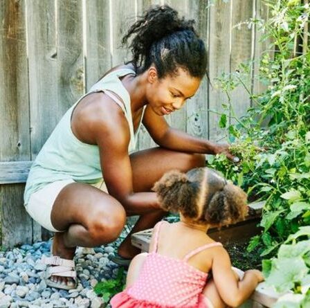 Conseils de jardinage: Les 4 travaux de jardinage faciles qui transformeront votre espace extérieur