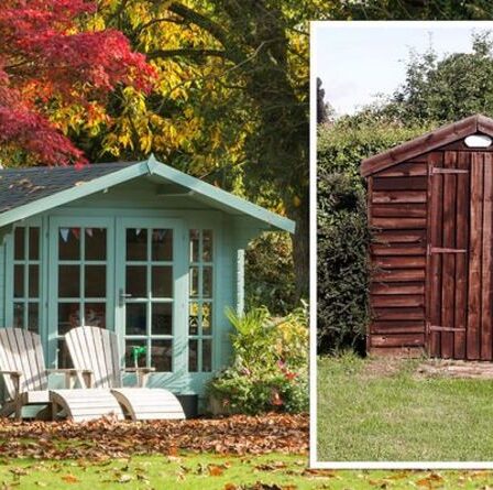 Conversion de cabanon: les meilleurs conseils pour transformer votre abri de jardin terne en une belle maison d'été