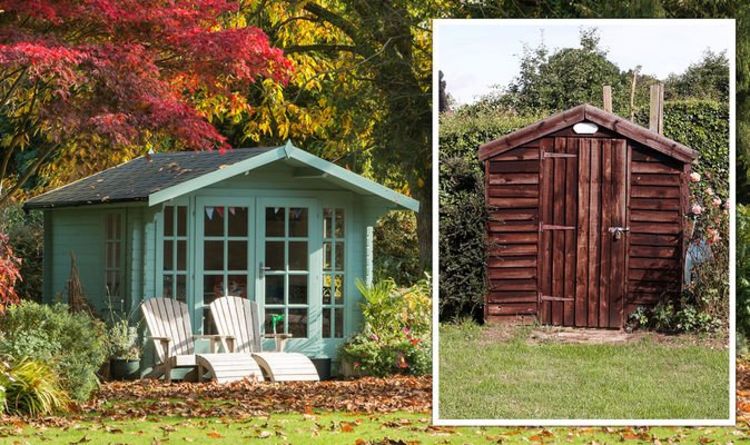 Conversion de cabanon: les meilleurs conseils pour transformer votre abri de jardin terne en une belle maison d'été