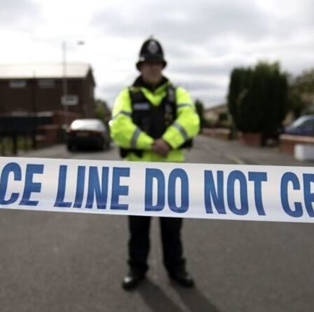 Corby poignardant: trois arrêtés après la mort d'un garçon de 16 ans