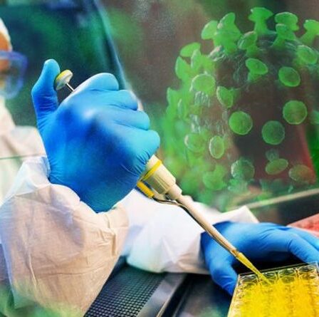 Coronavirus lié à des chiens trouvés chez des patients atteints de pneumonie - faut-il s'inquiéter?