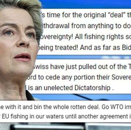 Coupez tous les liens!  Les Britanniques furieux contre Von der Leyen `` désemparé et faible '' alors que Frost tient ferme