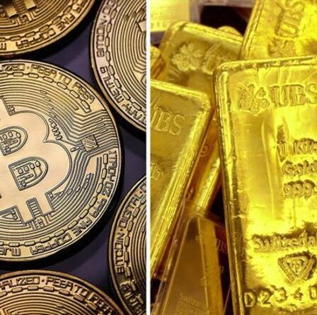 Crypto-monnaie vs or: devriez-vous investir dans des crypto-monnaies ou de l'or?  Commentaire d'experts