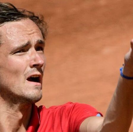 Daniil Medvedev demande à être expulsé de l'Open d'Italie après un commentaire de `` chien ''