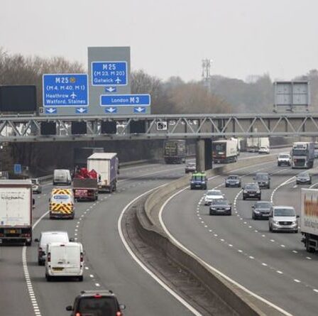 Des autoroutes intelligentes sous le feu: les AA, le RAC et la police ne voudraient pas que leurs PROPRES familles les utilisent