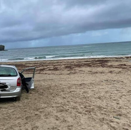 Des `` crétins '' claqués alors que la voiture est conduite sur la plage la nuit et bloquée dans le sable