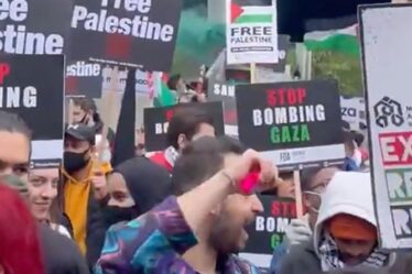 Des manifestants pro-palestiniens bloquent les routes de Londres alors qu'ils inondent les rues après le cessez-le-feu d'Israël