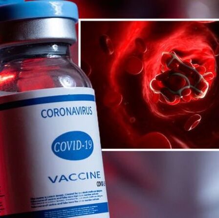 Des scientifiques allemands affirment avoir enfin résolu le casse-tête des caillots sanguins du vaccin