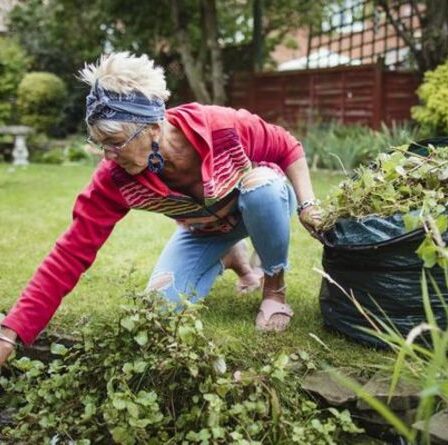 Désherbant: Sept désherbants naturels et sans produits chimiques que vous pouvez fabriquer à la maison