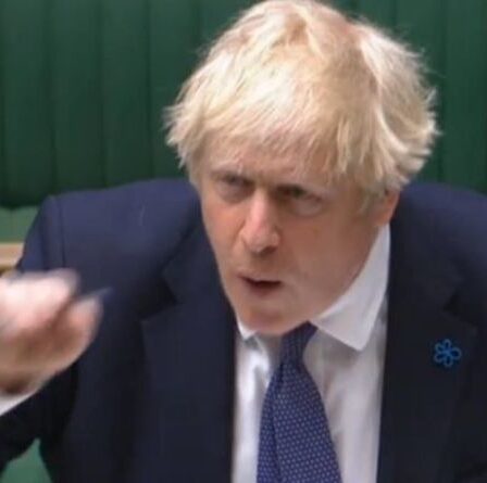 'Disgrâce!'  Boris fait rage contre le député gallois `` sans ambition '' pour une attaque contre l'accord de libre-échange avec l'Australie